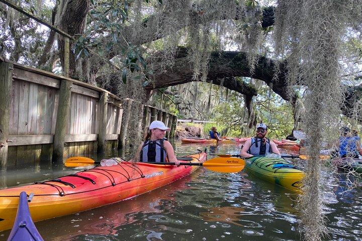 Kayak With Dolphins in Historic Shem Creek