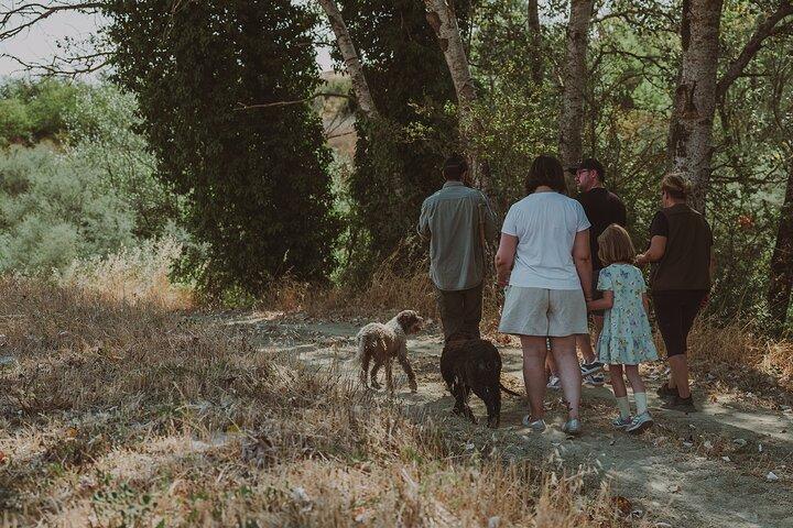 Truffle Hunt in Tuscany