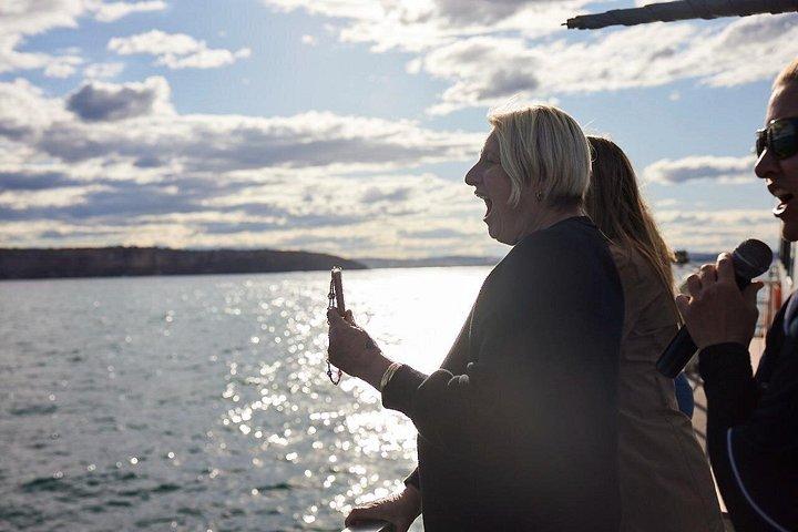 Sydney Whale-Watching Cruise herunder frokost eller morgenmad