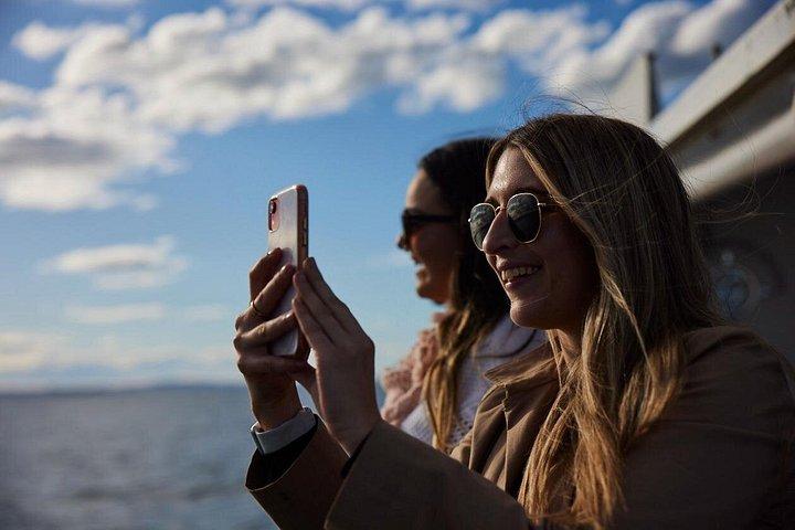 Sydney Whale-Watching Cruise herunder frokost eller morgenmad