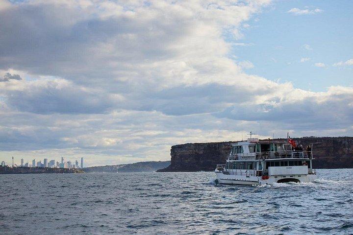Sydney Whale-Watching Cruise herunder frokost eller morgenmad