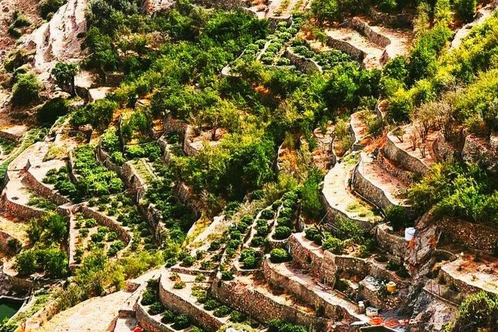 Oman Treasure FullDay Adventure at Birkat Al Mouz & Jebel Akhdar