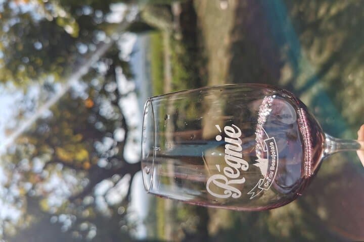 Beaujolais wine tour from Lyon half day