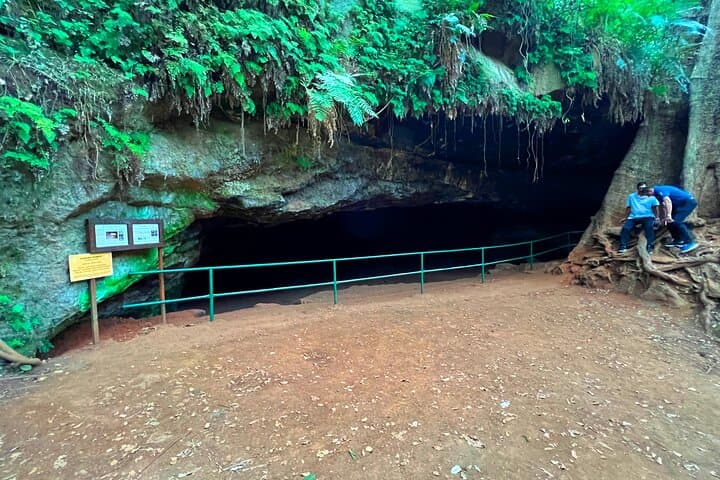 Karura Forest Nature Trail