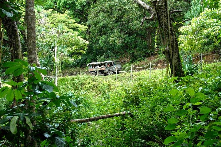 Kualoa Ranch: Expedition Tour da Selva