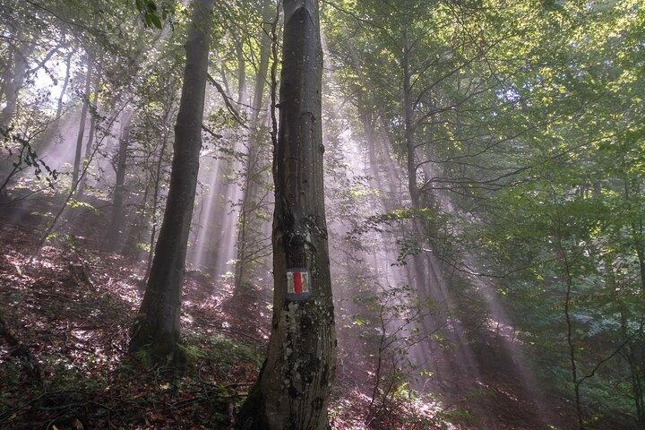 Private Wanderung durch den Nationalpark Piatra Craiului ab Brasov