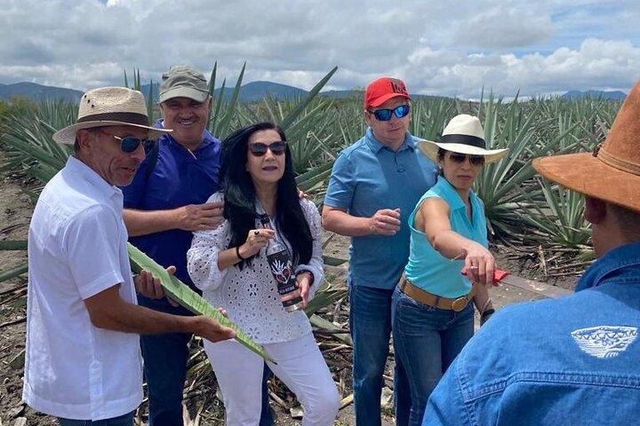 Oaxaca Mezcal Route Adventure: Artisan Palenques och Agave Fields