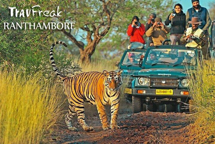 Private Tour to Ranthambore Tiger Reserve from Jaipur