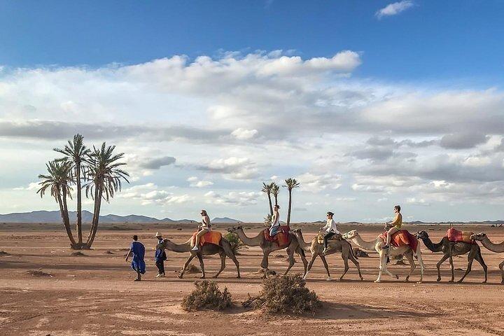 Marrakech: Camel Ride och Quad Bike i Palmeraie