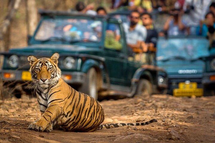 Excursion de 7 jours en triangle d'or avec Ranthambore Safari et Varanasi