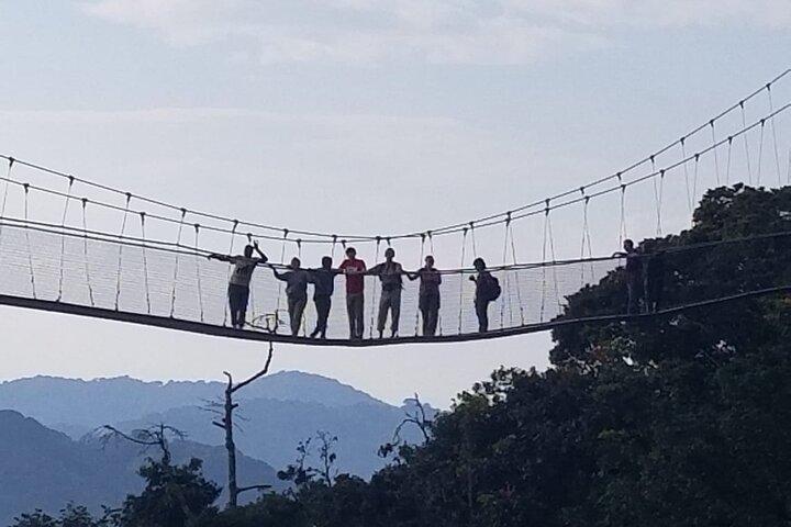 Trekking di 3 giorni con scimpanzé Nyungwe e passeggiata a piedi Canopy Way