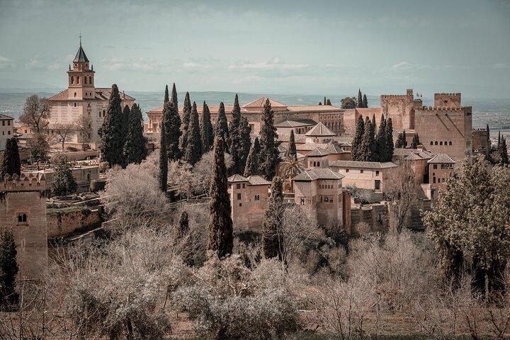 Heldags privat tur i Alhambra fra Malaga