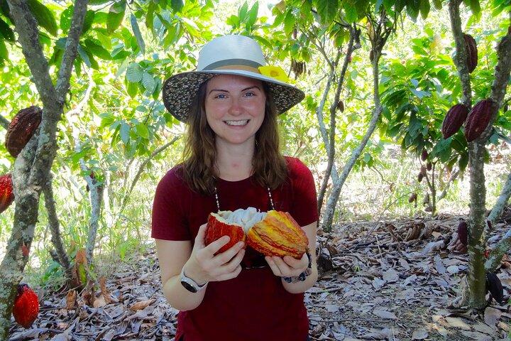Tour de medio día a la granja de cacao y degustación de frutas tropicales