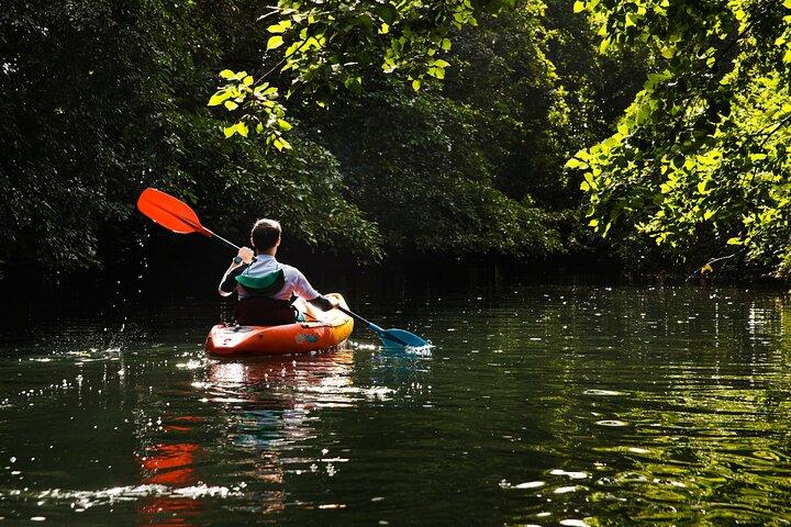 Afternoon Guided Kayak Tour on the Tamarin River