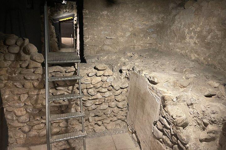 チューリッヒの街を観光するツアーは 21 スイスフランから