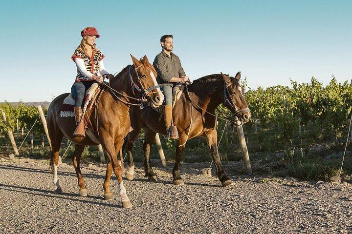 Cavalgada em Mendoza pelos vinhedos e rio com opcional Asado.