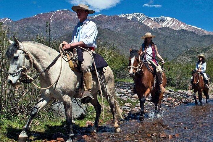 Cavalgada em Mendoza pelos vinhedos e rio com opcional Asado.