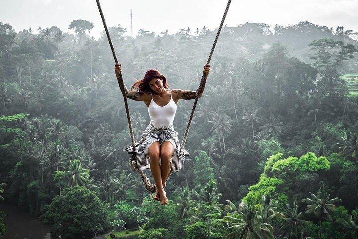 Ubud waterfall, rice terraces, and swing explore