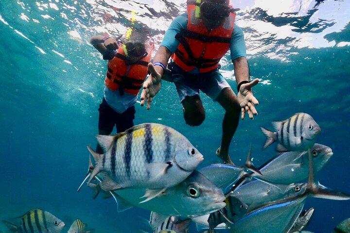 Snorkel em El Cielo em Cozumel com mais 2 recifes com ida e volta