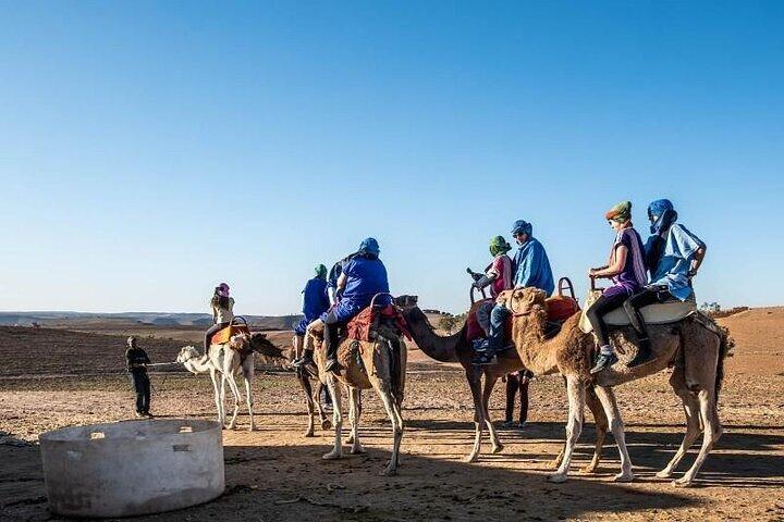 Pranzo e trekking in cammello nel deserto di Agafay Day Trip da Marrakech
