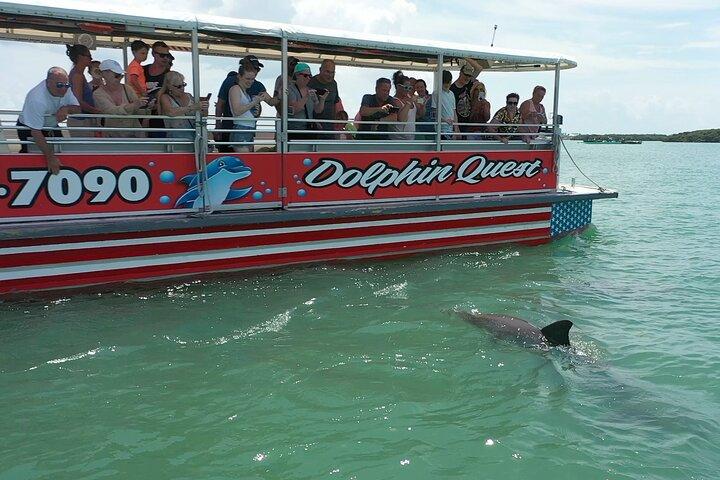 Informazioni sulla località John's Pass, Madeira Bch, FL