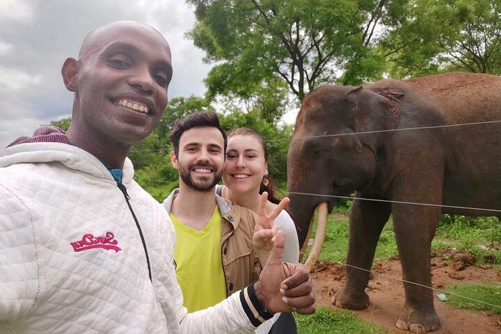 Paradise Ella Tages-/Einwegtour mit oder ohne Besuch (Udawalawe/Yala)