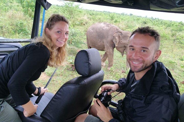 Paradise Udawalawe Safari Tours
