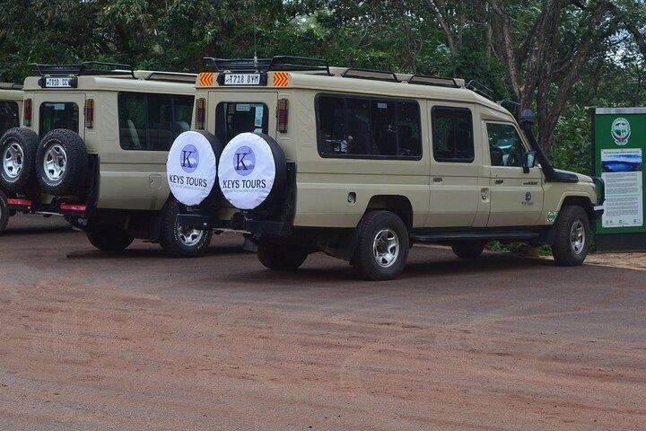 6 dagars safari: Manyara, Ngorongoro, Serengeti & Tarangire National Park