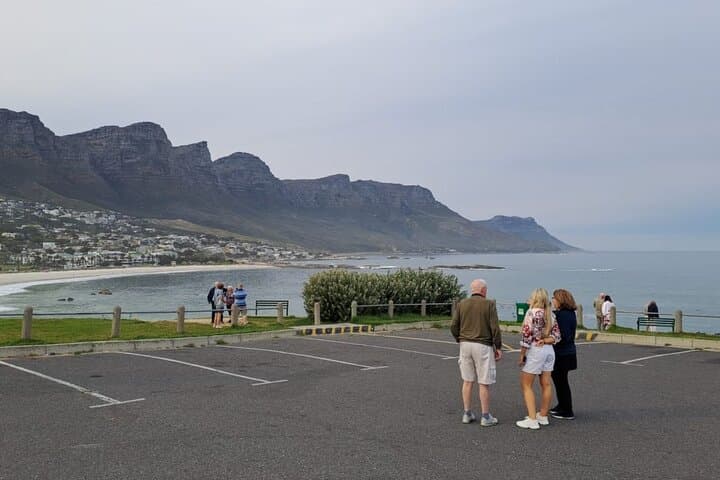 Cape of Good Hope-Cape Point & Penguins from Cape Town