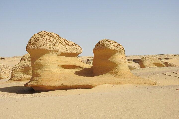 終日ファユーム オアシスとワディ エル ラヤンの滝