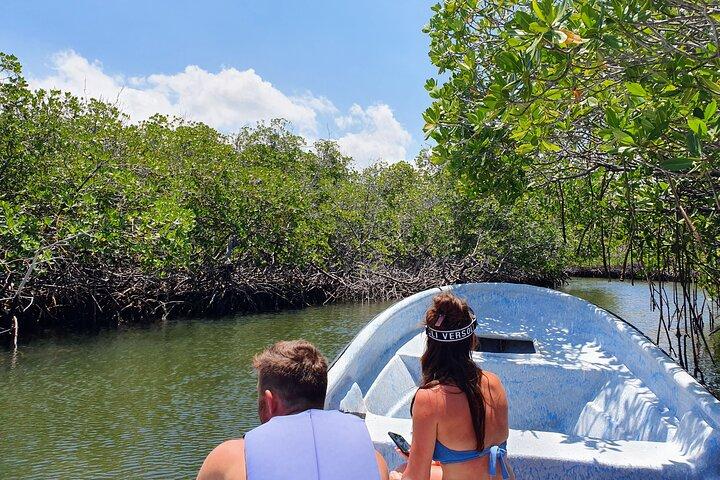 Privat tur til Paradise Island med Snorkel & Manatee Sanctuary