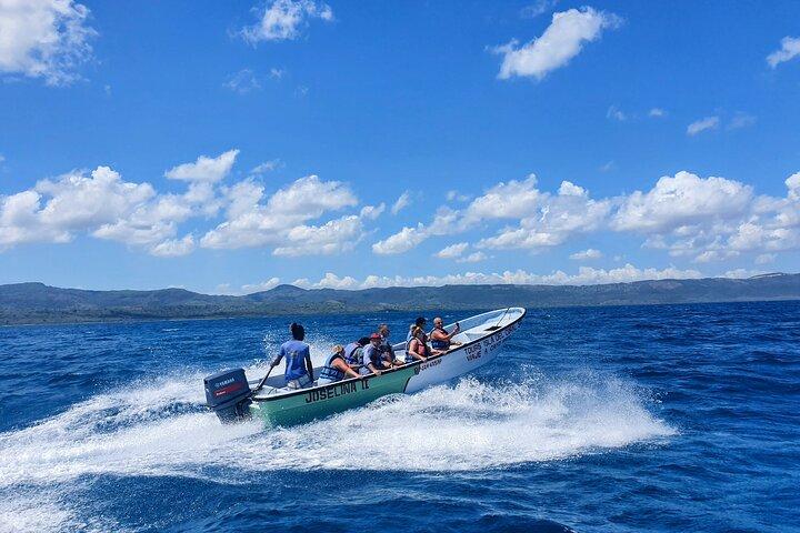 Privat tur til Paradise Island med Snorkel & Manatee Sanctuary