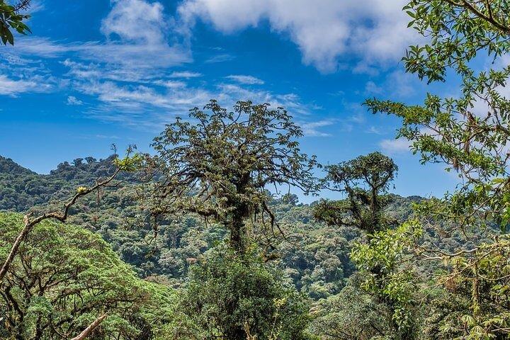 Monteverde Local Experience Guided Tour von Monteverde