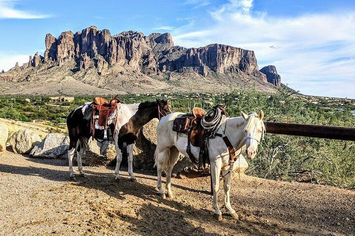 Visite privée du sentier Apache avec croisière sur le lac Canyon