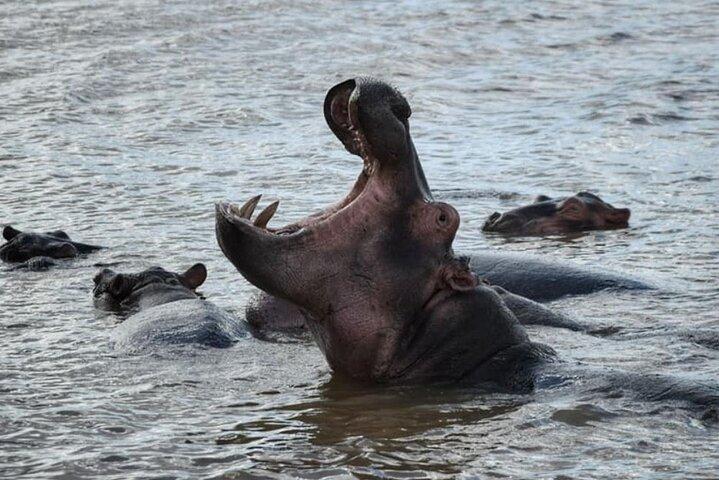 4 Day Kruger National Park and Panorama Tour from Johannesburg