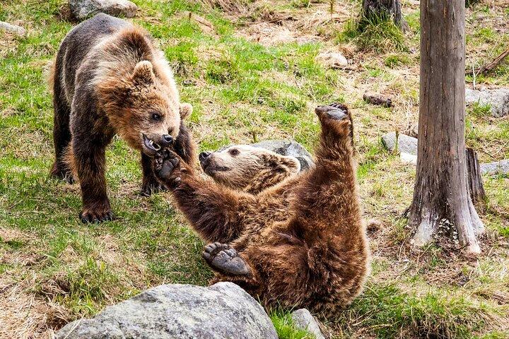 ラヌア野生動物公園への旅