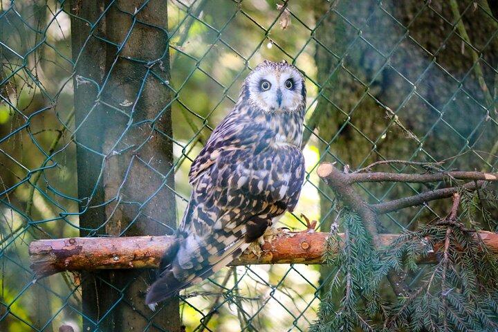 ラヌア野生動物公園への旅