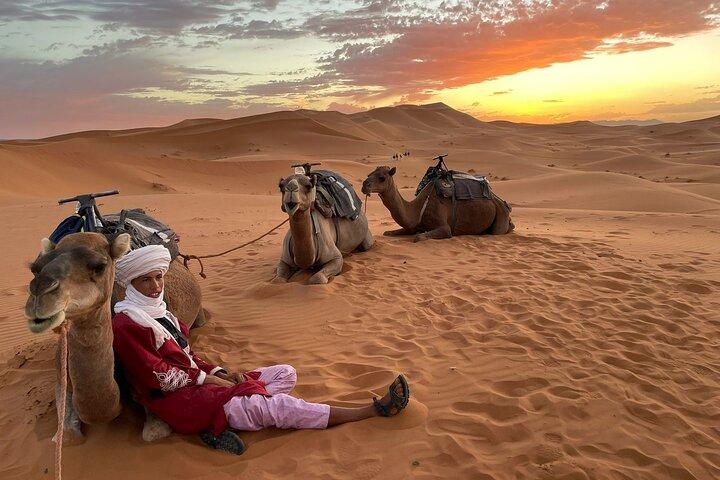10 Day Marrocos Highlights Tour de Casablanca com o Deserto do Saara