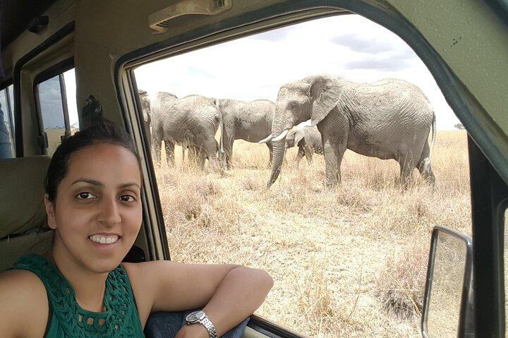 3-dagars privat budgetsafari