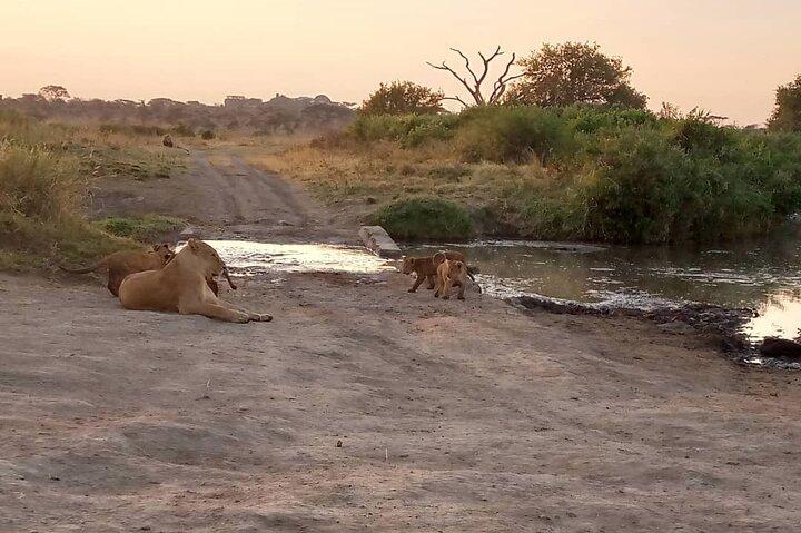 3-dagars privat budgetsafari
