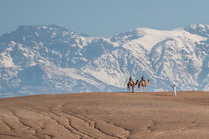Agafay Desert Package: Fyrhjuling, kamelritt och middagsshow