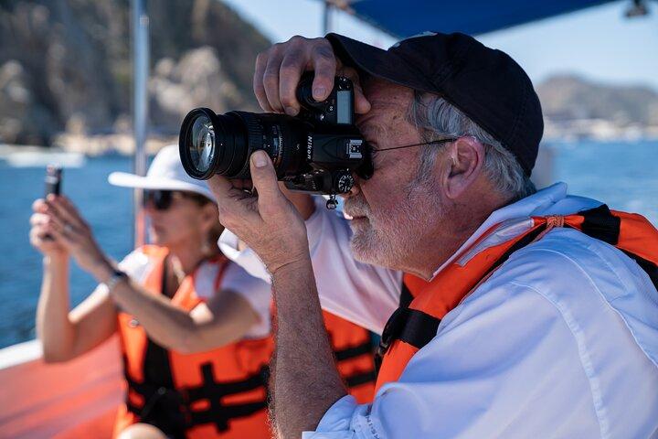 Los Cabos Whale Watching : immagini incluse / trasporto disponibile