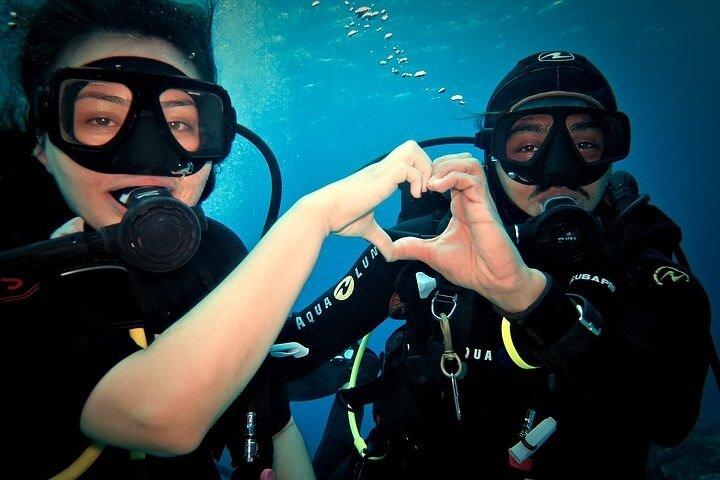 Entdecken Sie das Tauchen im Cozumel Paradise Reef