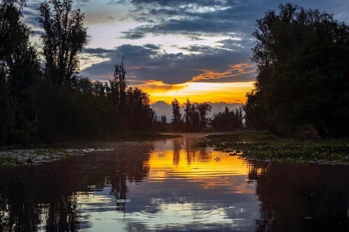 Xochimilco Sunrise from Mexico