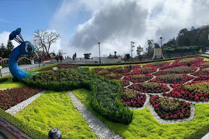 Tour di Ba Na Hills e Golden Bridge da Da Nang