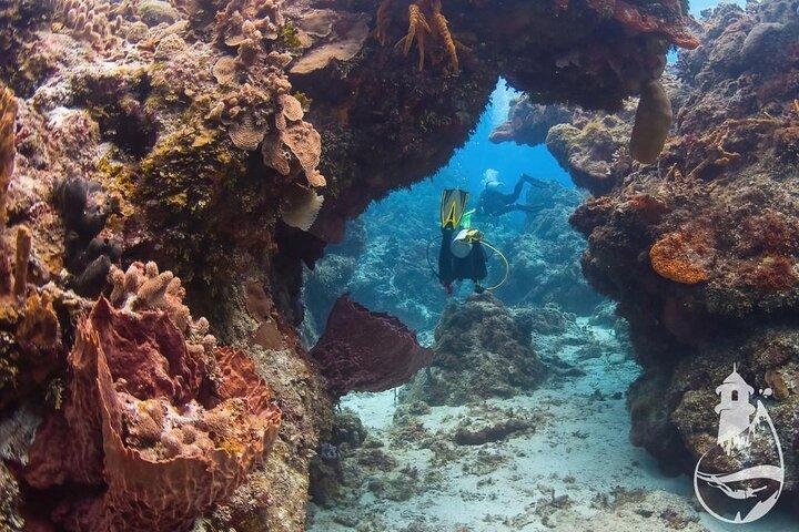Cozumel: Descubra o mergulho
