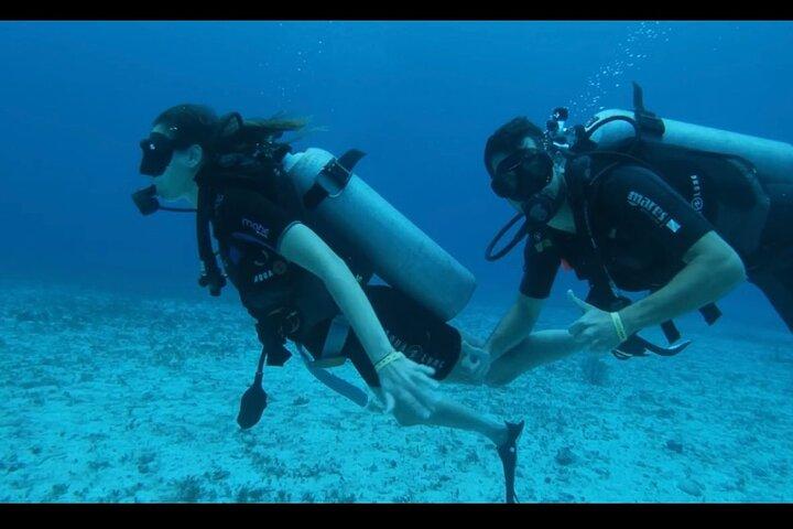 Cozumel: Descubra o mergulho