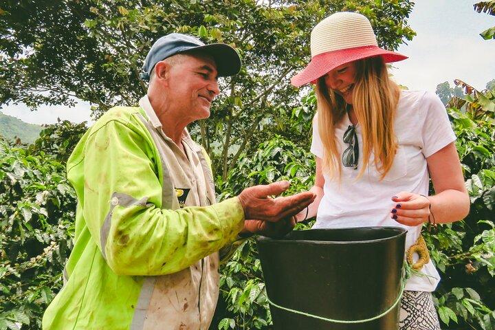 Tour privato: Colombian Coffee Farm & Culture di Medellin - Dal raccolto alla tazza!