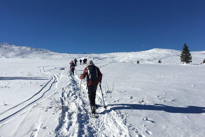 Ganztägige Vitosha Mountain Schneeschuhwanderung von Sofia