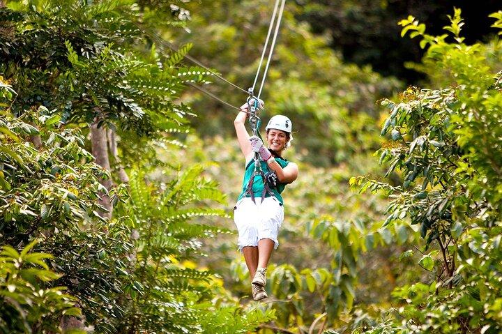 Canopy Countryside Private Day Trip Tour vanuit Montego Bay